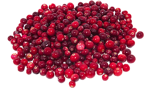 Брусника с/м 36080 - фото 1298