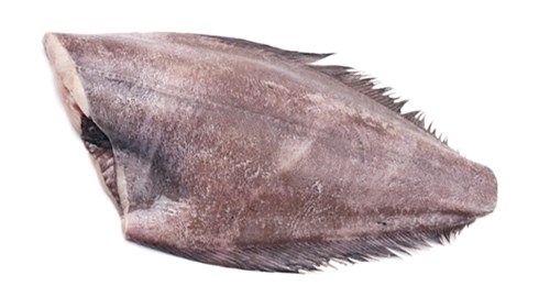 Палтус ПБГ 2-3 кг с/м Мурманск (ДД) 36010 - фото 954