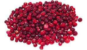 Брусника с/м 36080