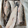 Филе щуки на коже с/м (АЛ) 03180 - фото 157
